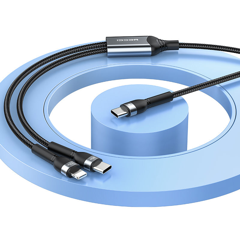 2-in-1 Data Cable